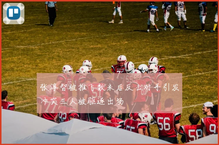 张淳智被推飞数米后反击对手引发冲突三人被驱逐出场