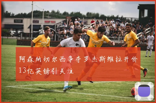 阿森纳切尔西争夺罗杰斯维拉开价13亿英镑引关注