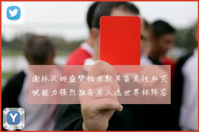 谢林汉姆盛赞帕尔默具备灵性和突破能力强烈推荐其入选世界杯阵容